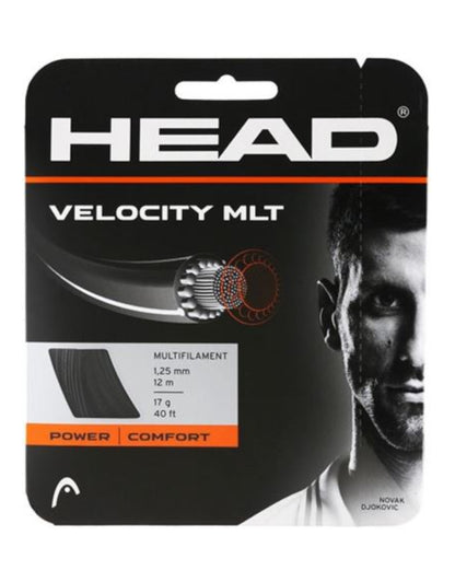 Velocity